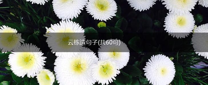云栋造句子(共60句),第1张