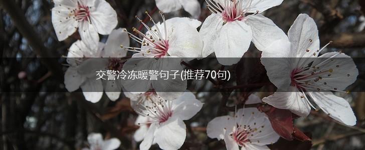 交警冷冻暖警句子(推荐70句),第1张