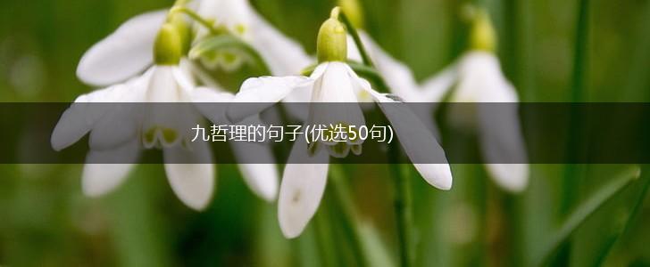 九哲理的句子(优选50句),第1张