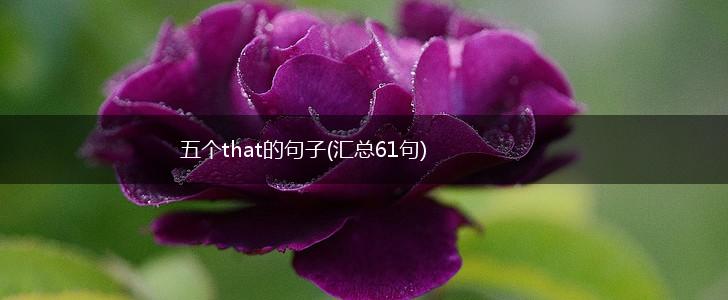 五个that的句子(汇总61句),第1张