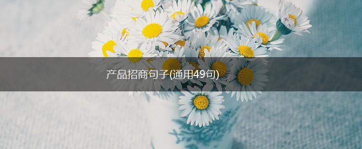 产品招商句子(通用49句),第1张
