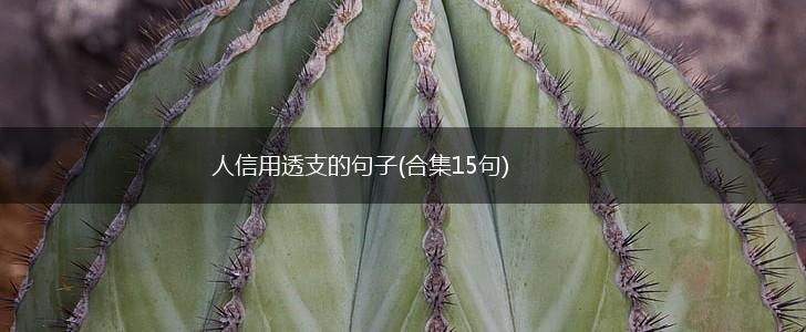 人信用透支的句子(合集15句),第1张