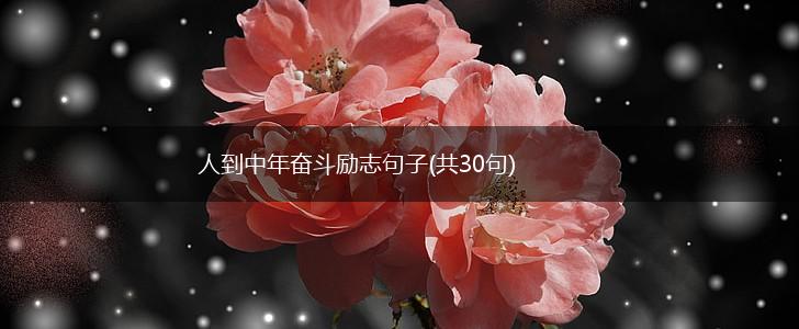 人到中年奋斗励志句子(共30句),第1张