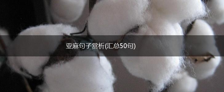 亚麻句子赏析(汇总50句),第1张