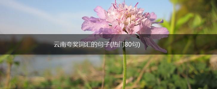 云南夸奖词汇的句子(热门80句),第1张