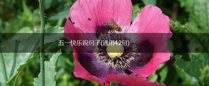 五一快乐祝句子(通用42句),第1张