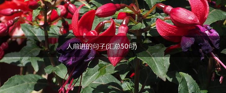 人前进的句子(汇总50句),第1张