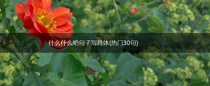 什么什么吧句子写具体(热门30句),第1张