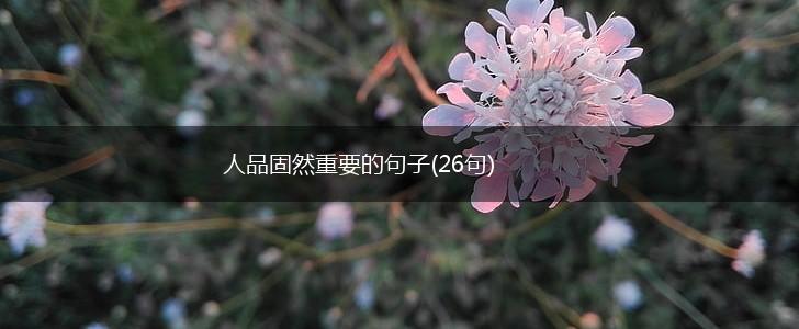 人品固然重要的句子(26句),第1张