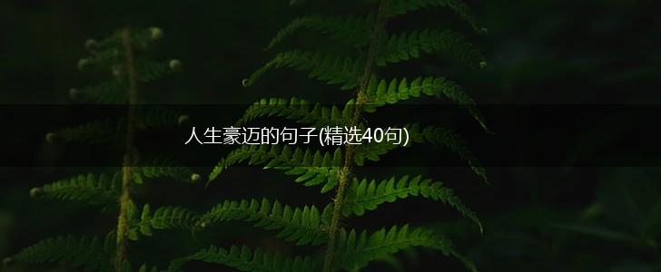 人生豪迈的句子(精选40句),第1张