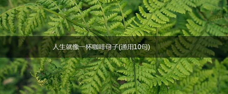 人生就像一杯咖啡句子(通用10句),第1张