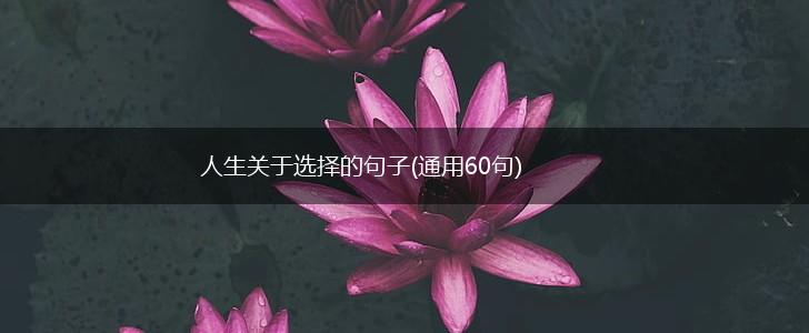 人生关于选择的句子(通用60句),第1张