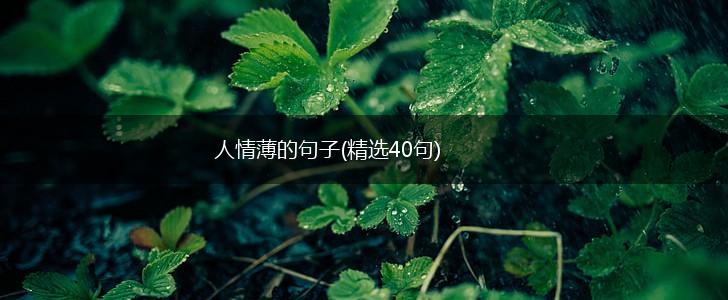 人情薄的句子(精选40句),第1张