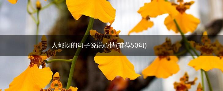 人郁闷的句子说说心情(推荐50句),第1张