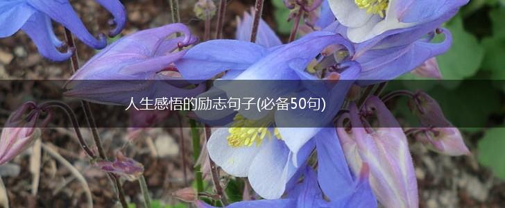 人生感悟的励志句子(必备50句),第1张