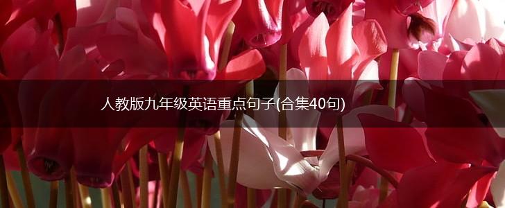 人教版九年级英语重点句子(合集40句),第1张