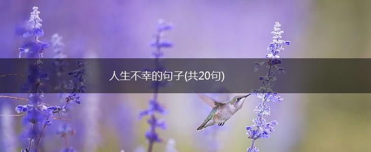 人生不幸的句子(共20句),第1张