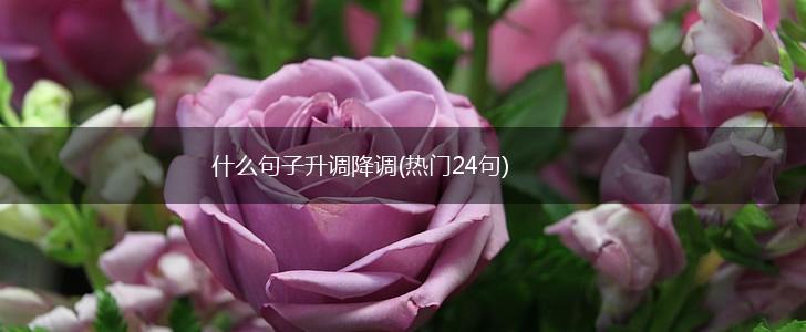 什么句子升调降调(热门24句),第1张