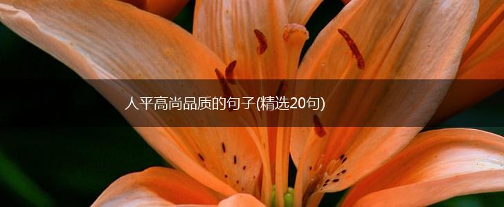 人平高尚品质的句子(精选20句),第1张