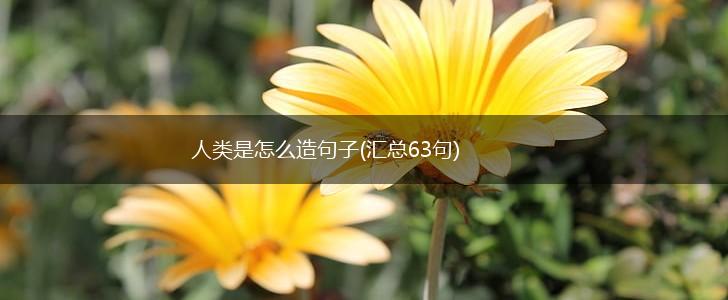 人类是怎么造句子(汇总63句),第1张