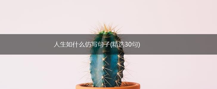 人生如什么仿写句子(精选30句),第1张