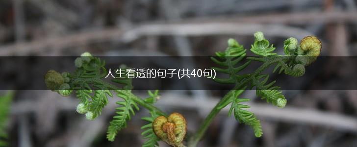 人生看透的句子(共40句),第1张
