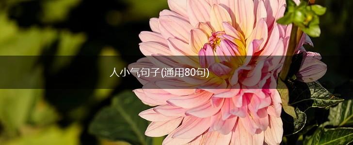 人小气句子(通用80句),第1张