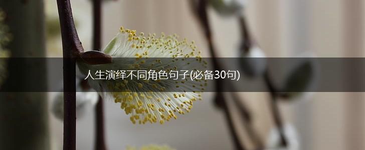 人生演绎不同角色句子(必备30句),第1张