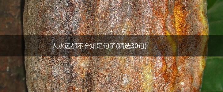 人永远都不会知足句子(精选30句),第1张