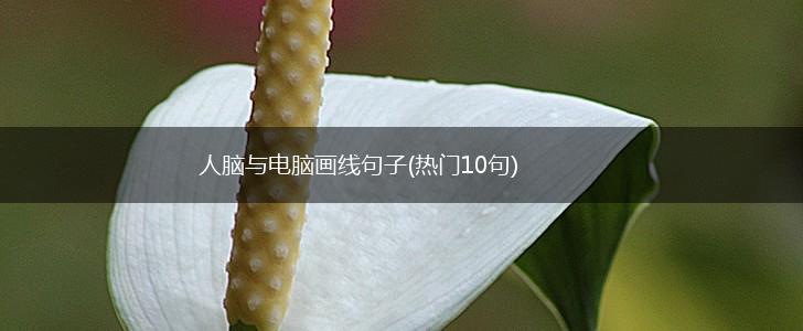 人脑与电脑画线句子(热门10句),第1张