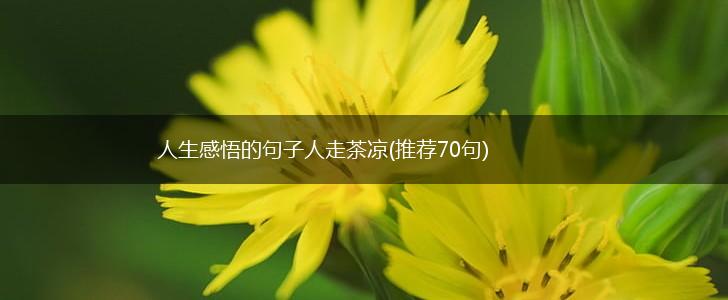 人生感悟的句子人走茶凉(推荐70句),第1张