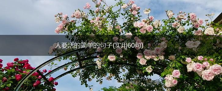 人要活的简单的句子(实用60句),第1张