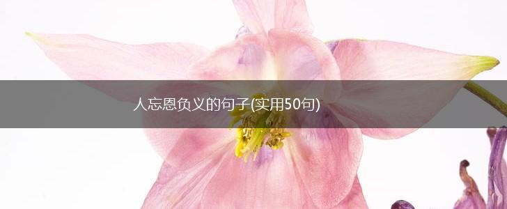 人忘恩负义的句子(实用50句),第1张