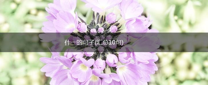 什一的句子(汇总10句),第1张