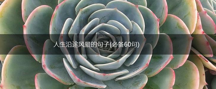 人生沿途风景的句子(必备60句),第1张