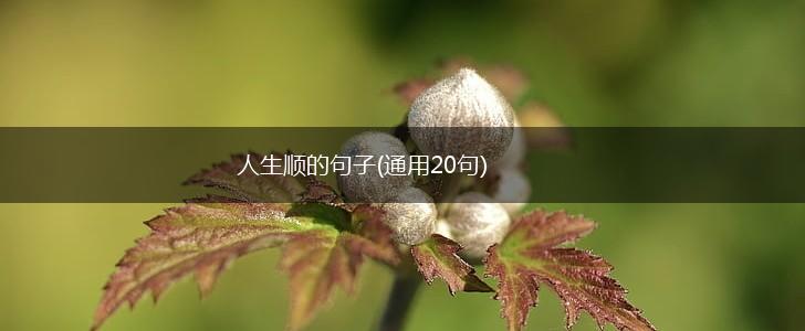 人生顺的句子(通用20句),第1张