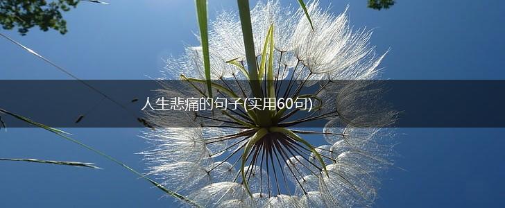 人生悲痛的句子(实用60句),第1张