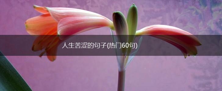 人生苦涩的句子(热门60句),第1张