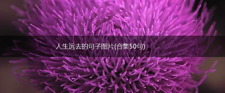 人生远去的句子图片(合集50句),第1张