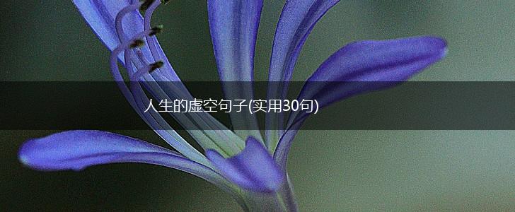人生的虚空句子(实用30句),第1张