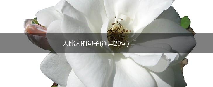 人比人的句子(通用20句),第1张