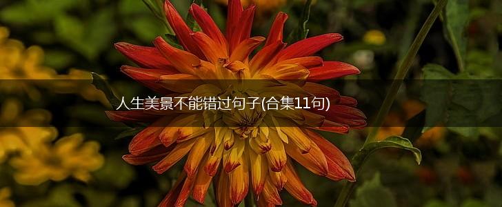 人生美景不能错过句子(合集11句),第1张
