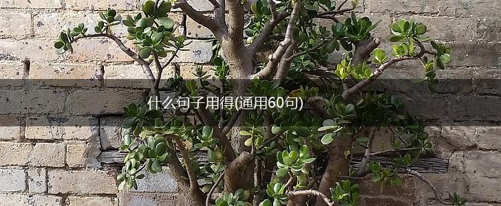 什么句子用得(通用60句),第1张