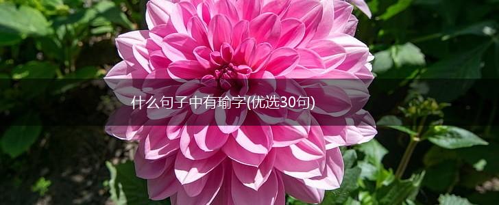 什么句子中有瑜字(优选30句),第1张