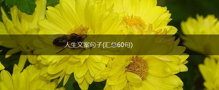 人生文案句子(汇总60句),第1张