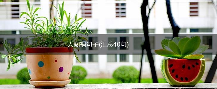 人闯祸句子(汇总40句),第1张