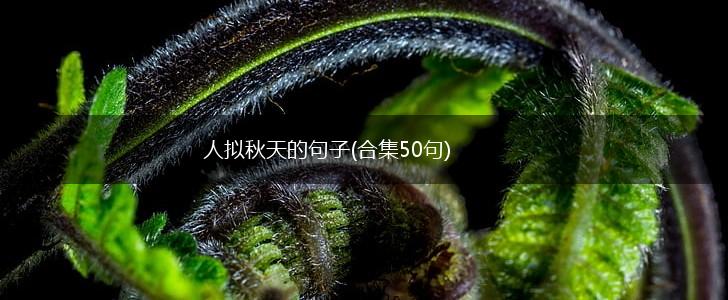人拟秋天的句子(合集50句),第1张