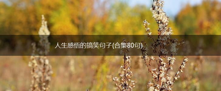 人生感悟的搞笑句子(合集80句),第1张