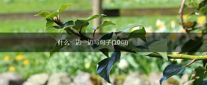 什么一边一边写句子(10句),第1张