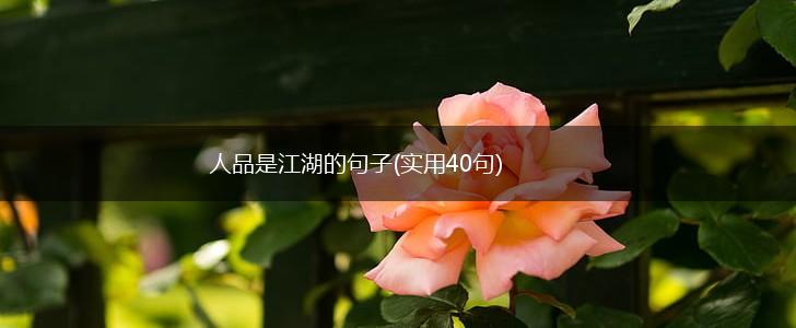 人品是江湖的句子(实用40句),第1张
